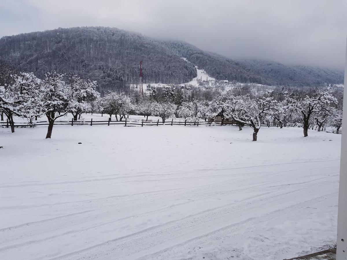 Pensiunea Din Livada Bran (Brasov) Exterior foto