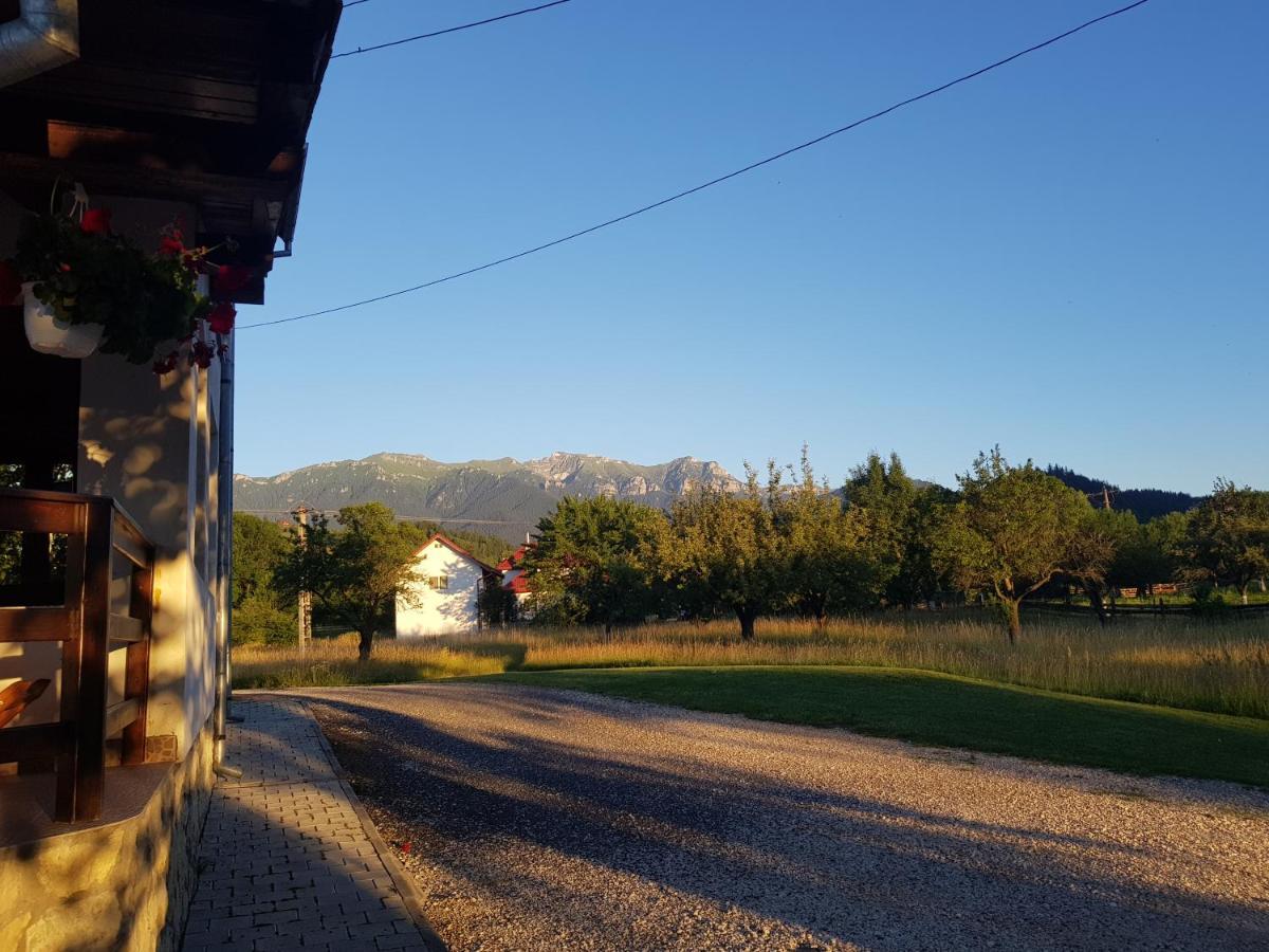 Pensiunea Din Livada Bran (Brasov) Exterior foto