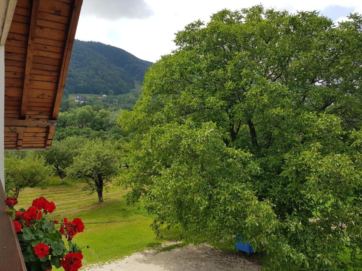 Pensiunea Din Livada Bran (Brasov) Exterior foto