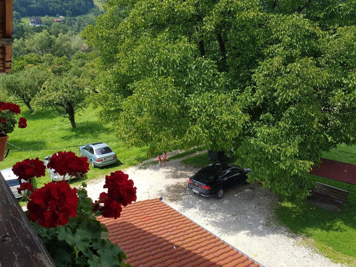 Pensiunea Din Livada Bran (Brasov) Exterior foto