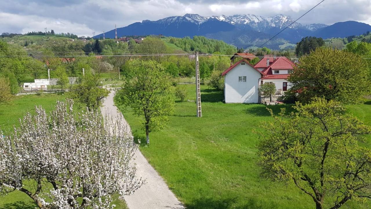 Pensiunea Din Livada Bran (Brasov) Exterior foto