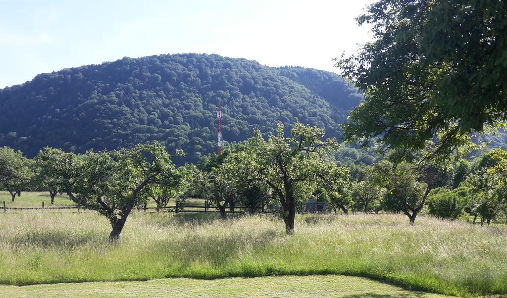 Pensiunea Din Livada Bran (Brasov) Exterior foto